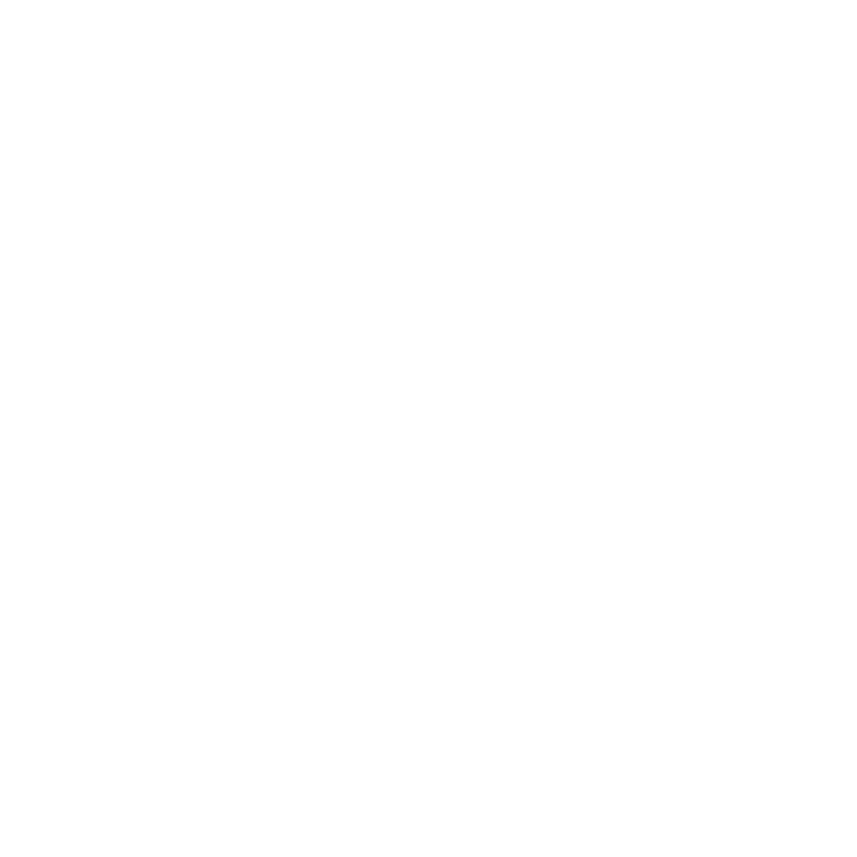 Bling Authority Logo in White
